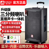 曼龙户外网红K歌广场舞音响无线蓝牙大功率重低音k歌唱歌吉他弹唱促销移动拉杆音箱 M12 锂电池版+2个话筒(声卡版）