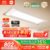 米家智能晾衣机Pro月光白 【国家补贴】小米电动隐形晾衣架超薄嵌入