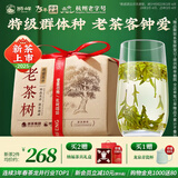 狮峰牌2025年新茶上市 绿茶龙井茶叶春茶老茶树明前特级250g江南纸包