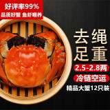 【活蟹】湖鲜阳澄 大闸蟹 去绳足重 2.5-2.8两 12只 鲜活六月黄现货超大螃蟹海鲜礼盒装