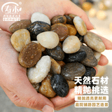 寿禾 鹅卵石鱼缸装饰造景天然石头庭院花盆铺面 0.8-1.5cm鹅卵石5斤