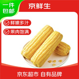 京鲜生水果玉米净重200g*5根源头直发包邮