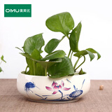 奥美优水仙花盆陶瓷铜钱草花盆一叶莲碗 睡莲水养水培花盆多肉 蓝彩荷趣