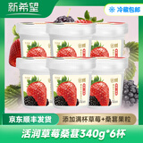 琴牌新希望活润酸奶 轻食杯大果粒益生菌风味发酵乳生牛乳发酵 340g 草莓桑葚*6桶
