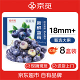 京觅 丹东新鲜蓝莓大果18mm+ 约125g/盒*8盒 生鲜水果礼盒 源头直发