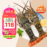 鲟食 生鲜小青龙新鲜冷冻龙虾 国产超大青龙虾 海鲜大虾送礼 2只*净重4-5两/只 青龙虾