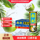 椰树椰果椰汁 250g*24罐 整箱装 植物蛋白饮料 正宗海南特产