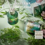 野兽派（THE BEAST）Jungle清新龙舌兰香薰蜡烛礼盒室内香薰新婚礼物生日礼物520礼物