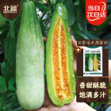 北蔬 甜瓜种子苗薄皮酥脆超甜香瓜春四季水果种籽 贝雷塔羊角蜜种子5g