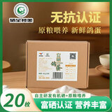 硒全食美 富硒新鲜鸽蛋  孕妇儿童宝宝鸽子蛋 20枚 366g