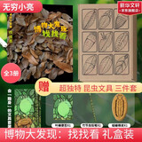 博物大发现 找找看 礼盒装 昆虫记动物大百科自然昆虫观察笔记 无穷小亮张辰亮唐志远 高清精美昆虫大片 最美的法布尔昆虫记 超大开本 6-12岁中小学生儿童科普暑期阅读 新华正版 【专属文具三件套】博物