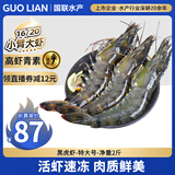 GUO LIAN国联 黑虎虾超大规格斑节虾 无冰净重2斤 16-20只 海鲜水产