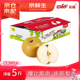 京鲜生 长城丰水梨 净重5斤 单果250g+ 新鲜当季 生鲜水果 中秋礼盒