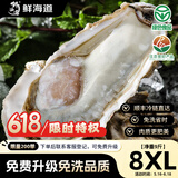 鲜海道【活鲜】鲜海道生蚝  乳山牡蛎 新鲜海蛎子生鲜贝类 稀有耗王8XL号带箱10斤