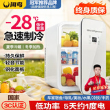 闲鸟（XIANNIAO）车载冰箱小型迷你小冰箱车家两用宿舍家用办公室母乳便携制冷藏箱 单核数显款-冷藏加热 车家两用 10L mini可冷冻制冷制热出租房屋冰柜