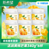 琴牌新希望活润酸奶 轻食杯大果粒益生菌风味发酵乳生牛乳发酵 340g 黄桃芒果*6桶