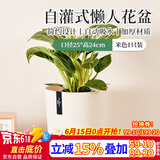 漫生活 塑料花盆(约11.8升/盆)口径250mm米白1只圆形花盆加厚一体盆