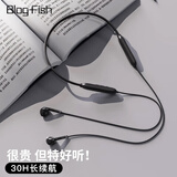 Blog.Fish蓝牙耳机挂脖式无线半入耳式降噪通话大电量运动超长续航高音质低延迟磁吸 黑色【续航30小时丨双麦降噪】