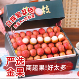 优味集【顺丰JD】白糖罂荔枝广东特产鲜采带枝新鲜应季酸甜孕妇整箱水果 5斤礼盒装（情义满满）净果4斤