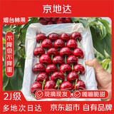 京地达山东大樱桃露天美早 净重4.5斤2J级超大果 单果10g+ 源头直发包邮