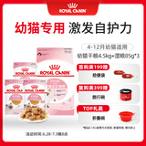 皇家皇家猫粮 幼猫猫粮 干湿搭配 K36 4.5kg+啫喱肉冻KJP 85G*3