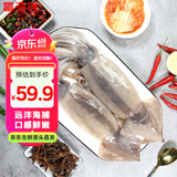 富海锦鲜冻整只大鱿鱼2斤 3-4条 铁板鱿鱼火锅烧烤食材 海鲜软足类送礼