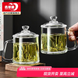 青苹果泡茶杯带盖 无铅玻璃把手水杯玻璃杯商务会议家用350ML两只装