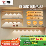 公牛（BULL）感应猫眼橱柜灯磁吸充电山丘光效展柜玄关氛围小夜灯 银40cm三色
