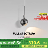 佼佼者（JIAOJIAOZHE）卧室床头吊灯现代简约网红创意轻奢小吊灯背景墙升降吊线灯 