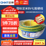 正泰（CHNT）电线电缆电源线铜芯家用电线 国标七股硬线地线10平方BV100米双色