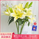 悦多彩AB级优质香水百合 家庭办公室各色生活鲜花 昆明基地 现采直发 黄色百合10朵（双头5枝）