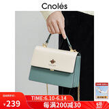 蔻一（Cnoles）包包女士款2025年最新款牛皮女生高端斜挎包通勤大容量单肩包