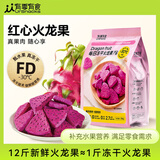 有零有食每日冻干火龙果干20g/袋纯水果红心火龙果小包装儿童零食点心