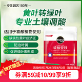 美乐棵硫酸亚铁花肥水溶肥调酸预防植物叶黄肥料100G