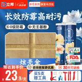 立邦美缝剂甄美缝十大品牌地砖瓷砖耐水防霉勾缝填缝美缝胶 炫亮金