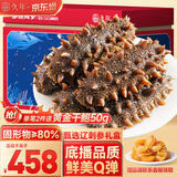 久年大连即食海参1000g20-30只 固形物超80% 冷冻辽刺参 海鲜生鲜礼盒