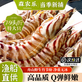森农乐舟山竹节虾鲜活斑节虾特大九节虾冷冻野生大虾基围虾黑虎虾海虾类 500g(净重)  10-12cm【23-28头/斤】