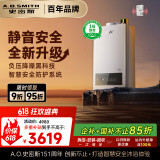 史密斯（A.O.SMITH）13升精钢燃气热水器 【史密斯银河】国家补贴 1级静音认证  安全守护 JSQ26-EDQ6 新品