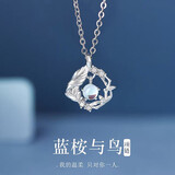 春浅蓝桉与鸟S925银项链女生生日礼物实用送女友老婆女士锁骨链银饰品