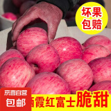 山东烟台红富士苹果栖霞苹果脆甜红冰糖心水果生鲜条纹片红混发 烟台红苹果净重1.5斤3个80mm+
