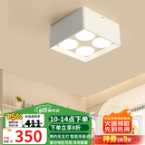 雷士（NVC）LED筒射灯明装无主灯方形斗胆灯格栅灯过廊灯吸顶聚光灯 荐-格栅筒灯-35W简约白-智能调光