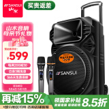 山水（SANSUI） A12-66广场舞音响户外K歌重低音蓝牙音响便携式移动舞台拉杆音箱大功率扩音器 旗舰版（12寸重低音+双麦）