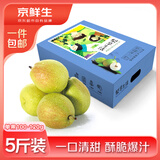京鲜生新疆库尔勒香梨净重5斤单果100g+ 全母梨 年货水果礼盒 源头直发