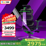 Ergomax Evolution2 PROMAX高迈思人体工学电脑椅网椅家用办公椅子电竞椅 PROMAX版 天使之谜