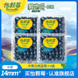 怡颗莓【颗颗饱满】当季云南蓝莓 国产蓝莓 送礼 新鲜水果 年货节送礼 云南中果125g*4盒（14-18mm）