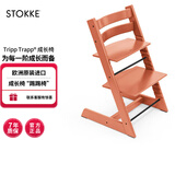 Stokke成长椅源自欧洲宝宝TT餐椅多功能儿童餐椅家用餐桌椅婴儿餐椅 【新色】赤陶红单椅