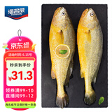海名威 冷冻黄花鱼700g/2条 宁德大黄鱼地标 海鲜水产 生鲜鱼类 