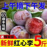 京逸【顺丰现货】李子新鲜高山红心芙蓉李子福建古田三华李孕妇水果 5斤|精选大果【单果40-60g左右】