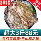 【销量60W+只】舟山超大梭子蟹鲜蟹活冻大螃蟹生鲜飞蟹大肉蟹 3斤4-8只【89】