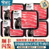 宅鲜汇澳洲原切牛肉片谷饲肥牛卷雪花牛肉生鲜寿喜烧火锅烤肉套餐和牛 澳洲M3牛肉片【净重500g*2大盒】 收藏加购-送蘸料1包